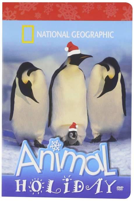 National Geographic - Animal Holiday